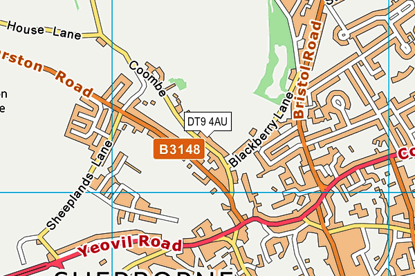 DT9 4AU map - OS VectorMap District (Ordnance Survey)