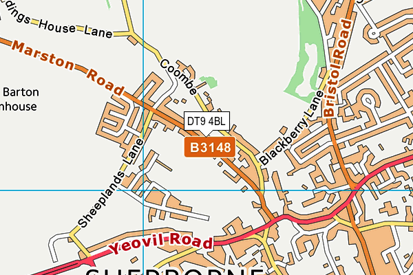 DT9 4BL map - OS VectorMap District (Ordnance Survey)