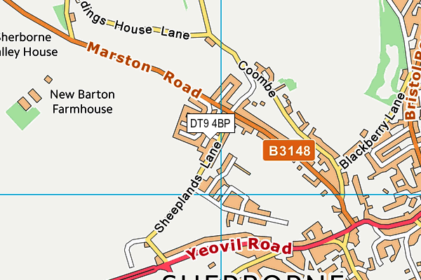 DT9 4BP map - OS VectorMap District (Ordnance Survey)