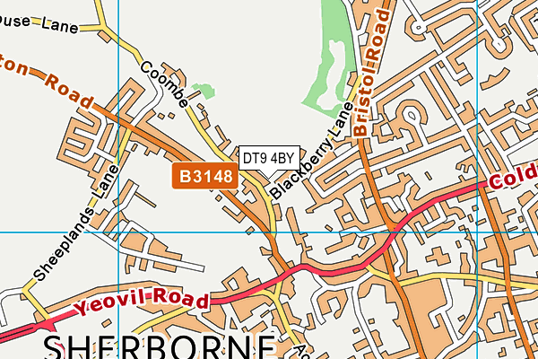DT9 4BY map - OS VectorMap District (Ordnance Survey)