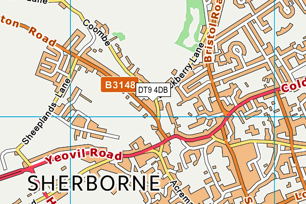 DT9 4DB map - OS VectorMap District (Ordnance Survey)