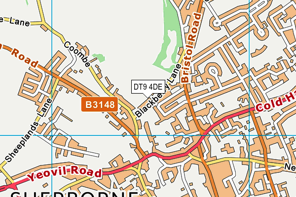 DT9 4DE map - OS VectorMap District (Ordnance Survey)