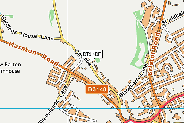 DT9 4DF map - OS VectorMap District (Ordnance Survey)