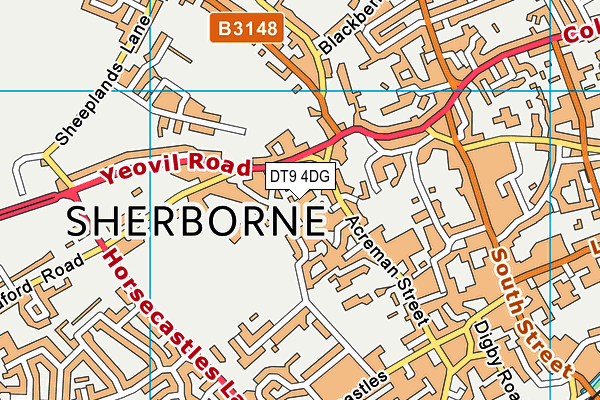 DT9 4DG map - OS VectorMap District (Ordnance Survey)