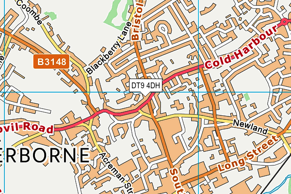DT9 4DH map - OS VectorMap District (Ordnance Survey)