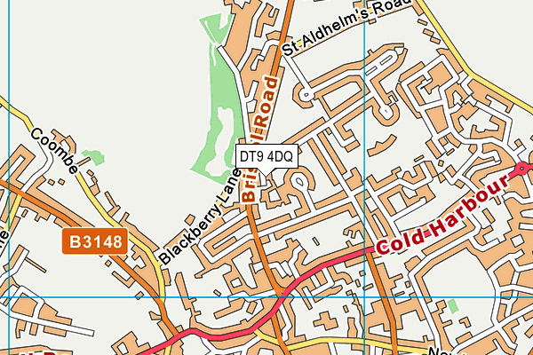 DT9 4DQ map - OS VectorMap District (Ordnance Survey)