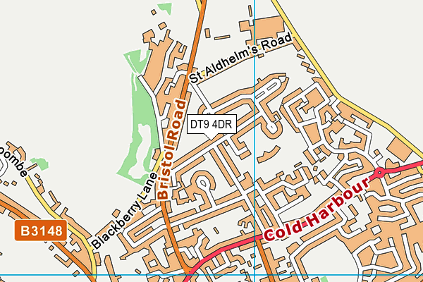 DT9 4DR map - OS VectorMap District (Ordnance Survey)