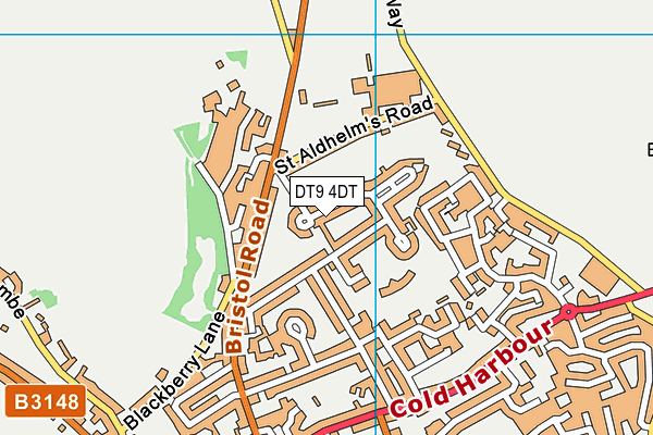 DT9 4DT map - OS VectorMap District (Ordnance Survey)