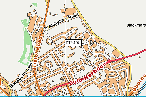 DT9 4DU map - OS VectorMap District (Ordnance Survey)