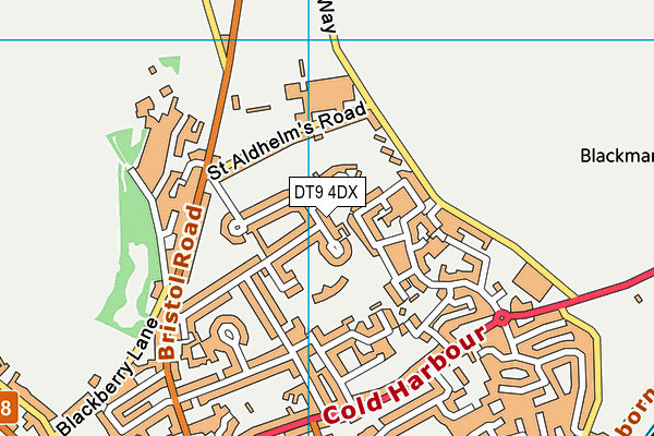 DT9 4DX map - OS VectorMap District (Ordnance Survey)