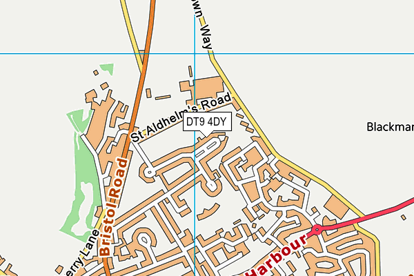 DT9 4DY map - OS VectorMap District (Ordnance Survey)