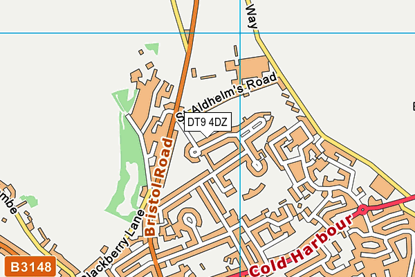 DT9 4DZ map - OS VectorMap District (Ordnance Survey)