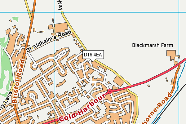 DT9 4EA map - OS VectorMap District (Ordnance Survey)