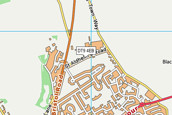 DT9 4EB map - OS VectorMap District (Ordnance Survey)