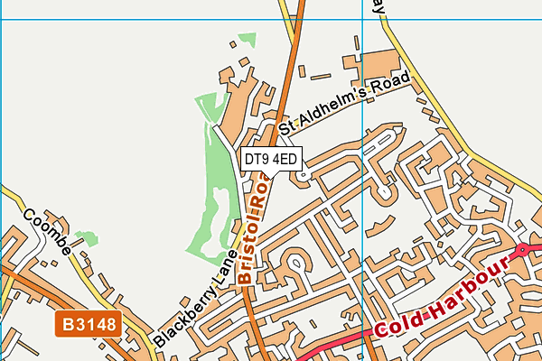 DT9 4ED map - OS VectorMap District (Ordnance Survey)