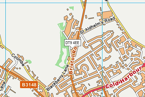 DT9 4EE map - OS VectorMap District (Ordnance Survey)