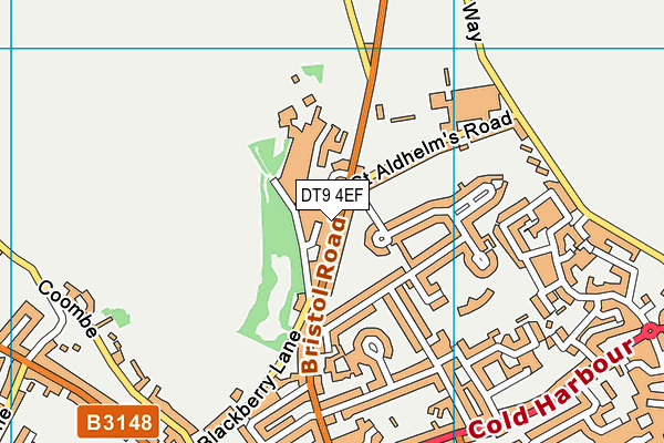 DT9 4EF map - OS VectorMap District (Ordnance Survey)