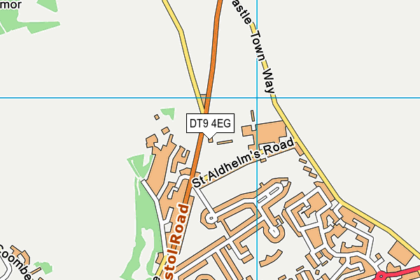 DT9 4EG map - OS VectorMap District (Ordnance Survey)