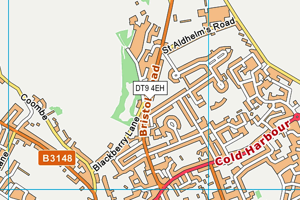 DT9 4EH map - OS VectorMap District (Ordnance Survey)