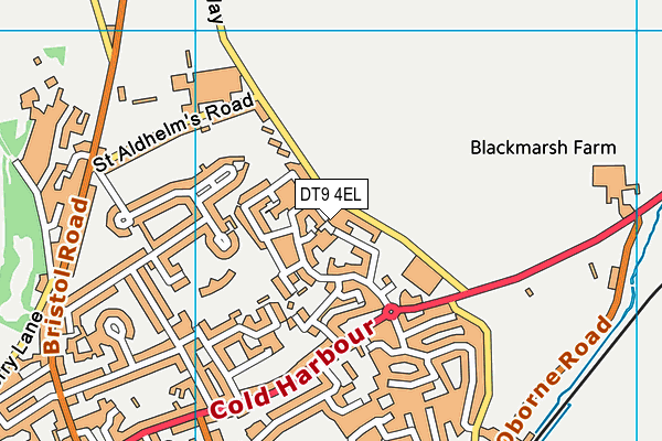 DT9 4EL map - OS VectorMap District (Ordnance Survey)