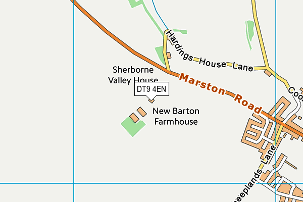 DT9 4EN map - OS VectorMap District (Ordnance Survey)