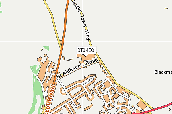 The Gryphon School map (DT9 4EQ) - OS VectorMap District (Ordnance Survey)