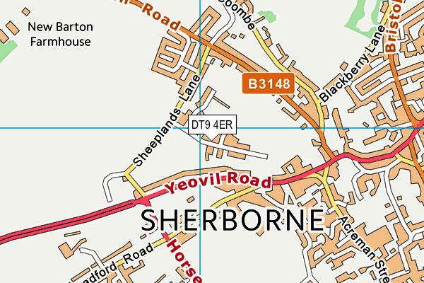 DT9 4ER map - OS VectorMap District (Ordnance Survey)