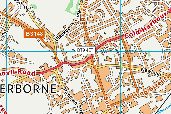 DT9 4ET map - OS VectorMap District (Ordnance Survey)