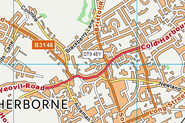 DT9 4EY map - OS VectorMap District (Ordnance Survey)