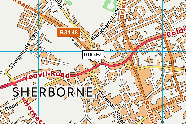 DT9 4EZ map - OS VectorMap District (Ordnance Survey)