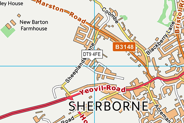 DT9 4FE map - OS VectorMap District (Ordnance Survey)