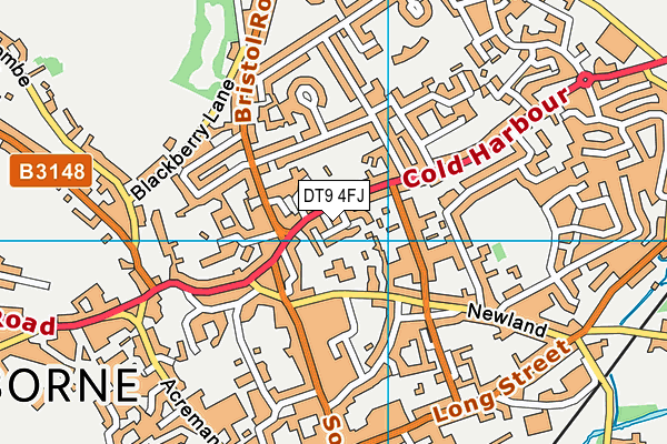 DT9 4FJ map - OS VectorMap District (Ordnance Survey)