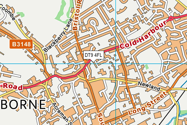DT9 4FL map - OS VectorMap District (Ordnance Survey)
