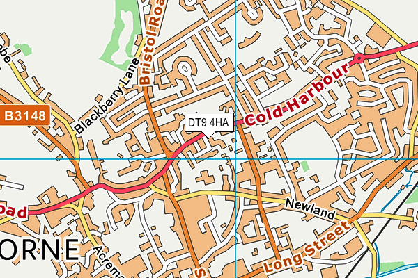 DT9 4HA map - OS VectorMap District (Ordnance Survey)