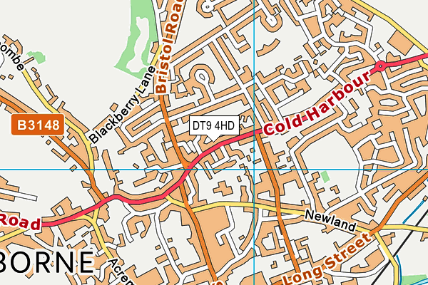 DT9 4HD map - OS VectorMap District (Ordnance Survey)