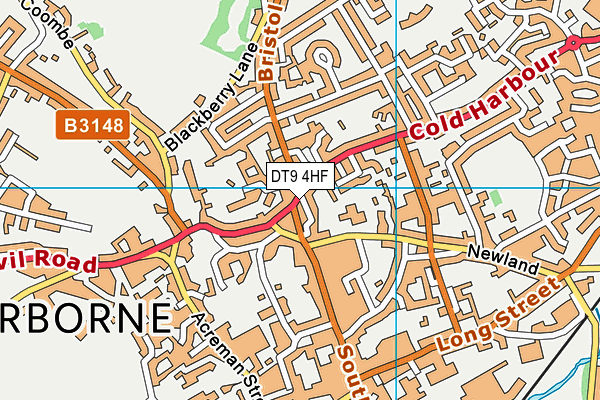 DT9 4HF map - OS VectorMap District (Ordnance Survey)