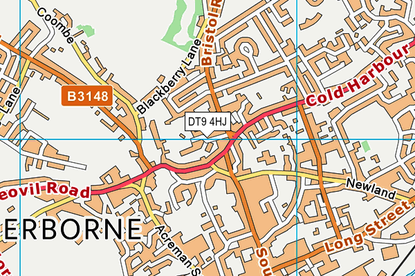 DT9 4HJ map - OS VectorMap District (Ordnance Survey)