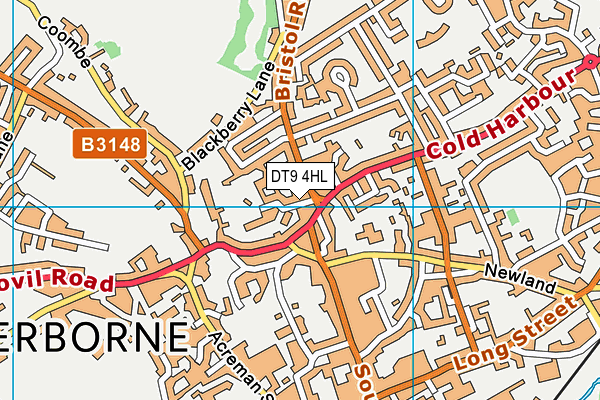 DT9 4HL map - OS VectorMap District (Ordnance Survey)