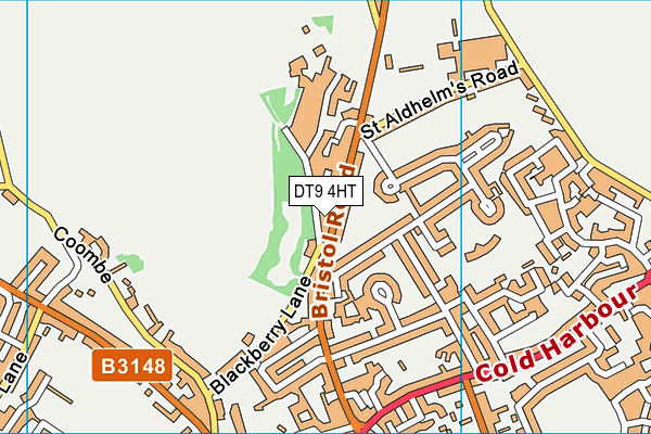 DT9 4HT map - OS VectorMap District (Ordnance Survey)
