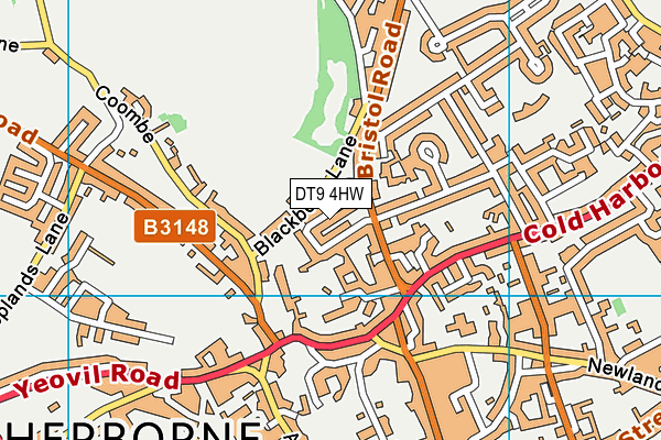 DT9 4HW map - OS VectorMap District (Ordnance Survey)