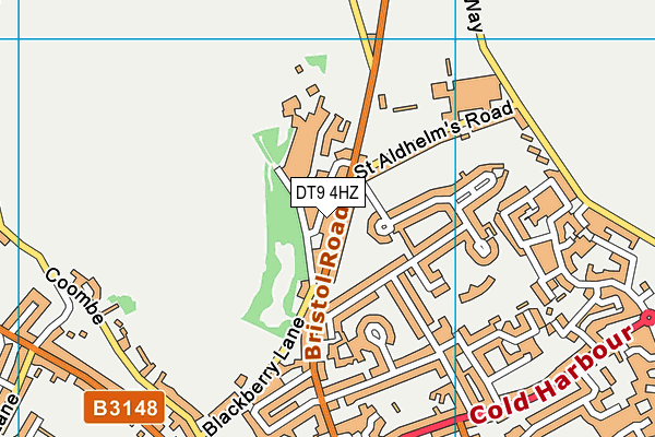 DT9 4HZ map - OS VectorMap District (Ordnance Survey)