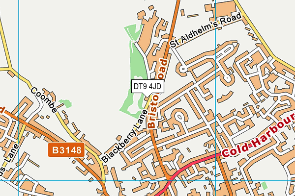 DT9 4JD map - OS VectorMap District (Ordnance Survey)