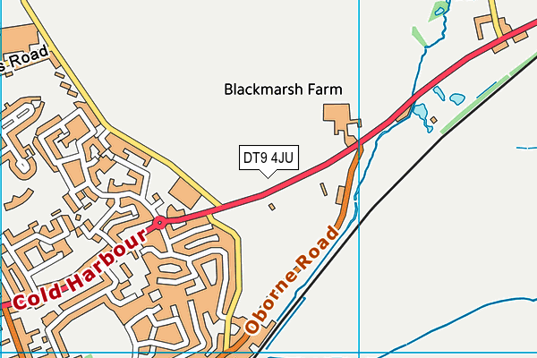 DT9 4JU map - OS VectorMap District (Ordnance Survey)