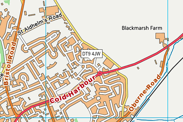 DT9 4JW map - OS VectorMap District (Ordnance Survey)
