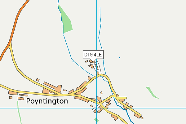 DT9 4LE map - OS VectorMap District (Ordnance Survey)