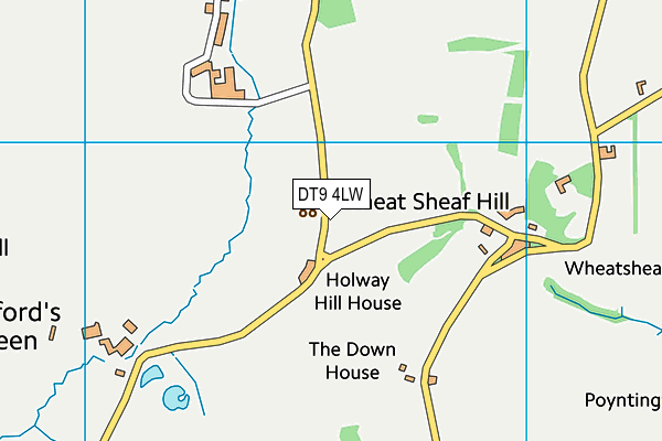 DT9 4LW map - OS VectorMap District (Ordnance Survey)