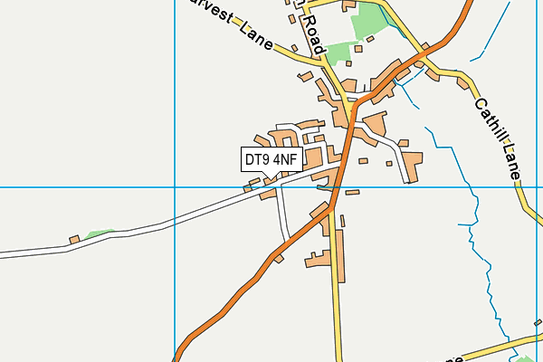 DT9 4NF map - OS VectorMap District (Ordnance Survey)