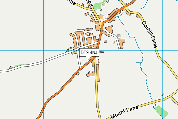 DT9 4NJ map - OS VectorMap District (Ordnance Survey)