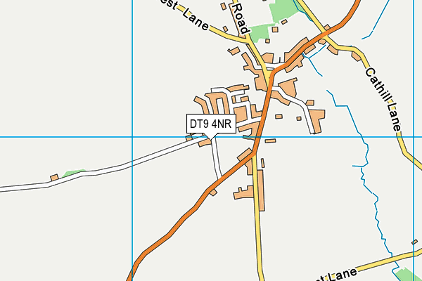 DT9 4NR map - OS VectorMap District (Ordnance Survey)