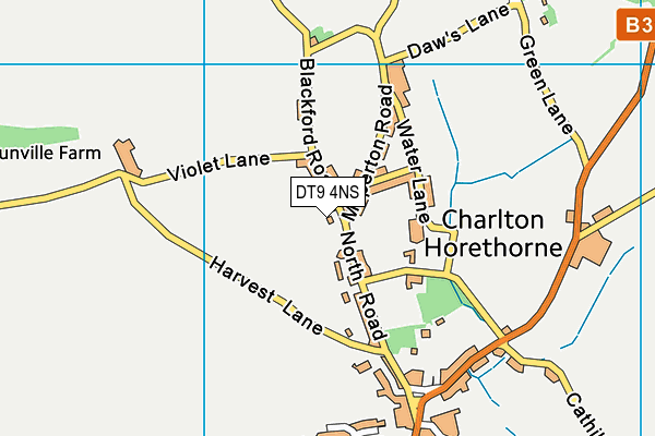 DT9 4NS map - OS VectorMap District (Ordnance Survey)